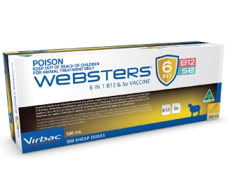 Websters 6in1 B12 200ml