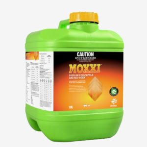 MOXXIPOUR-ON CATTLE 5L