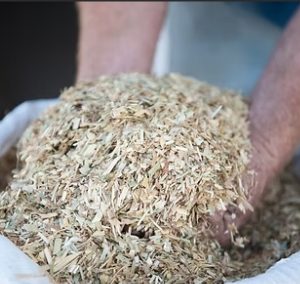 Wheaten Chaff LVC