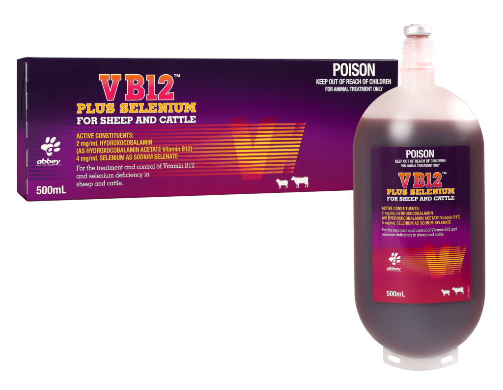 VB12 + SE INJECTION 500