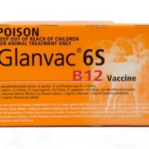 Glanvac 6s B12 250ml
